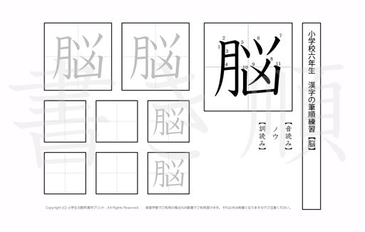 小学6年生で学習する181字の漢字のうち「脳」を掲載しています。正しい書き順と読み方を、無料漢字プリントを使ってしっかり覚えておきましょう。