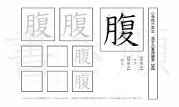 小学6年生で学習する181字の漢字のうち「腹」を掲載しています。正しい書き順と読み方を、無料漢字プリントを使ってしっかり覚えておきましょう。