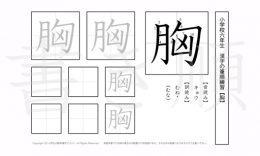 小学6年生で学習する181字の漢字のうち「胸」を掲載しています。正しい書き順と読み方を、無料漢字プリントを使ってしっかり覚えておきましょう。