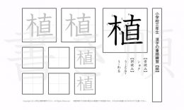 小学3年生で学習する200字の漢字のうち「植」を掲載しています。正しい書き順と読み方を、無料漢字プリントを使ってしっかり覚えておきましょう。